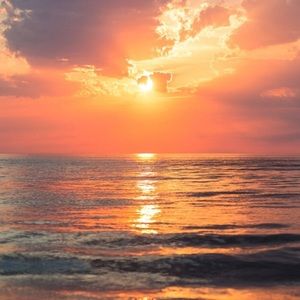 Meet your Posher, Oceanlover